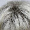 PRUIK Kort naturel blond met donkere uitgroei - Afbeelding 5
