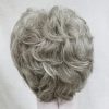 PRUIK Kort, klassiek, BI color:donker blond met blond mix (E-9301AB16-613) - Afbeelding 2
